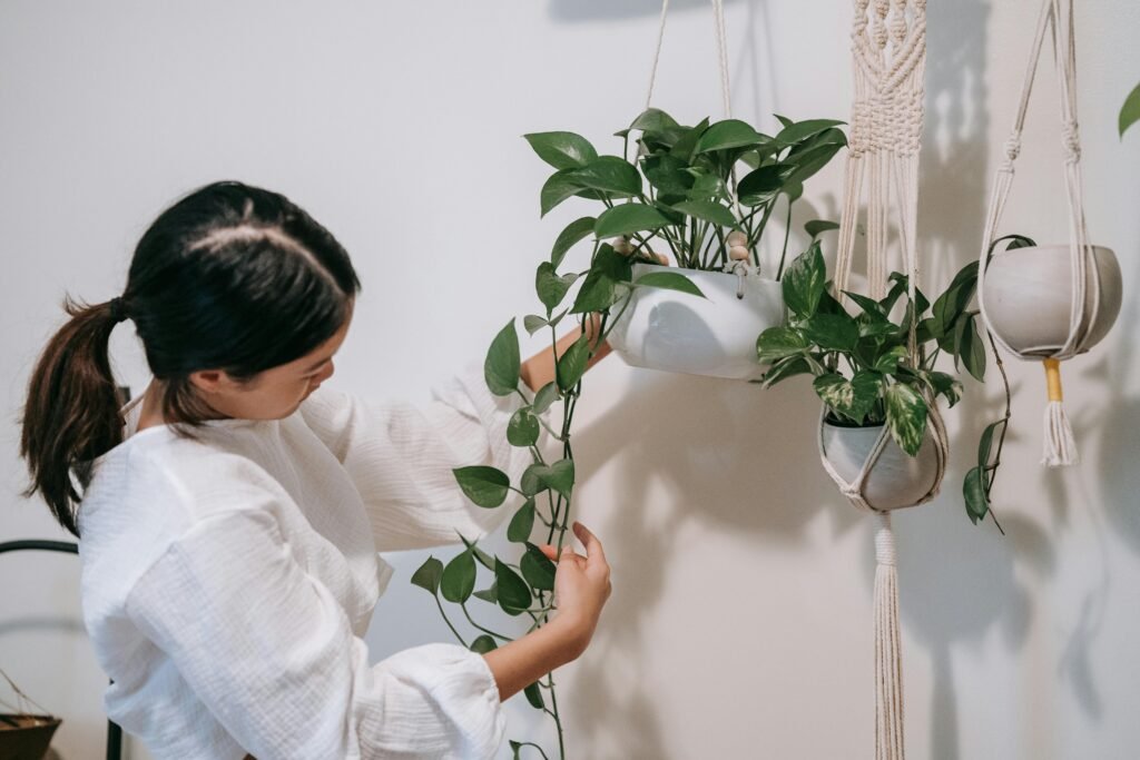 hangende plant | Welke planten zijn het best voor kleine ruimtes