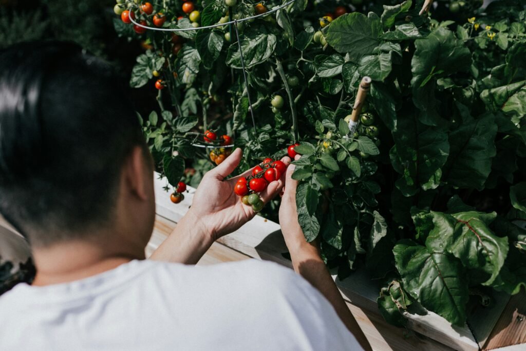priscilla-du-preez-zprIOk-vHQE-unsplash