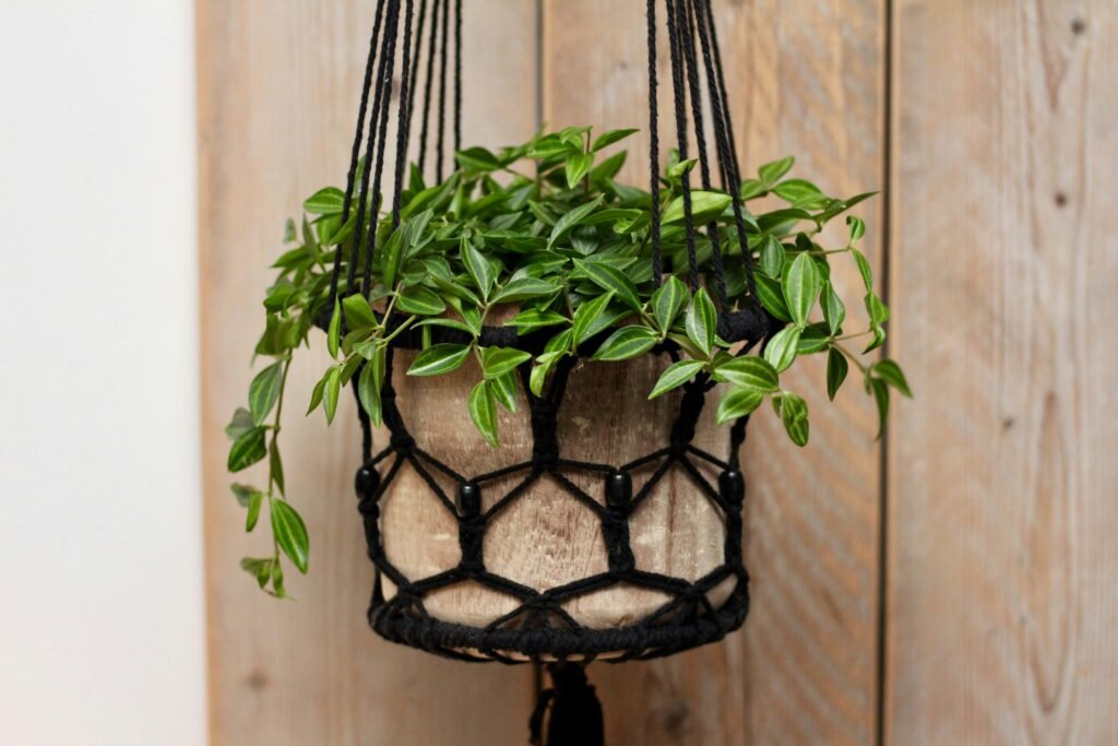 sven-brandsma-0HjAp4wSzEY-unsplash Balkon & Mini-Tuin Inspiratie | hangplant