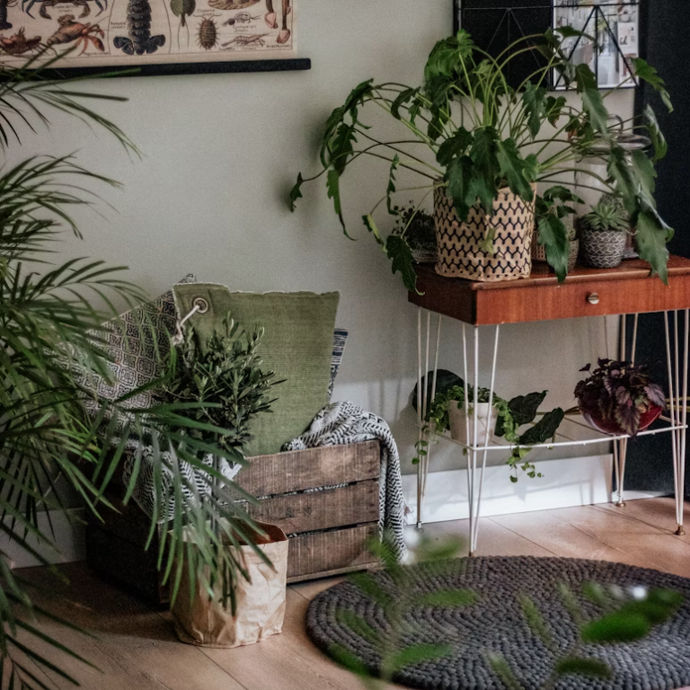 Botanisch Wonen in een Kleine Ruimte / uitgelicht