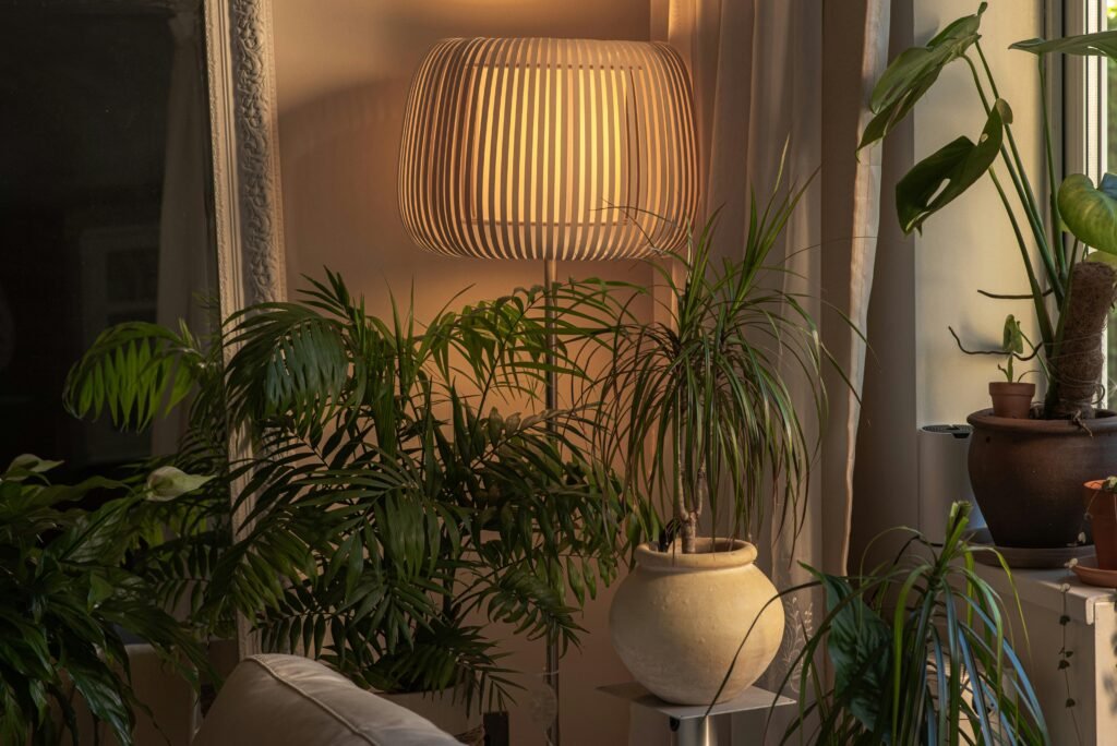 Hoe maak je een kleine woonkamer gezellig / planten Hoe maak je een kleine woonkamer gezellig / planten