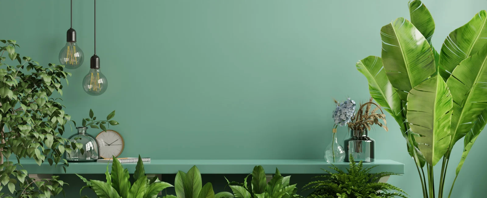 Wandplanken in Kleine Woningen / groen